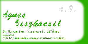 agnes viszkocsil business card